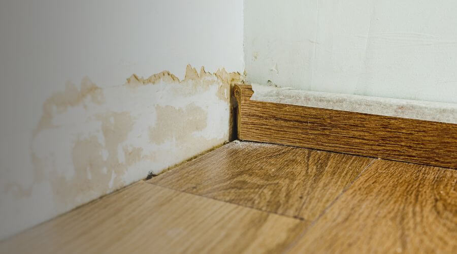 Why choose Ludlow Mold Specialist for mold inspection in Ludlow, MA
